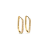 Diamond Oval Charm Hoop
