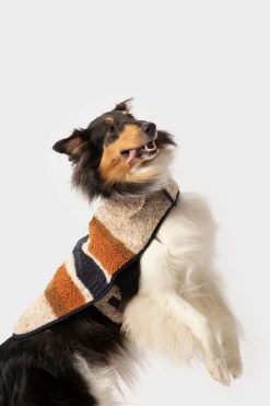 Dog Coat