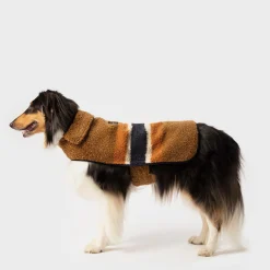 Dog Coat