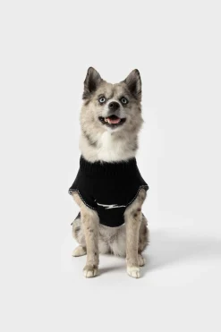 Dog Sweater
