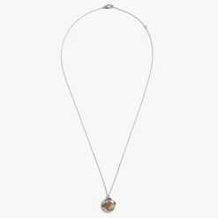 Heirloom Petoskey Pendant Necklace