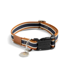 Nylon Dog Collar