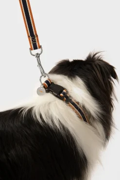 Nylon Dog Leash