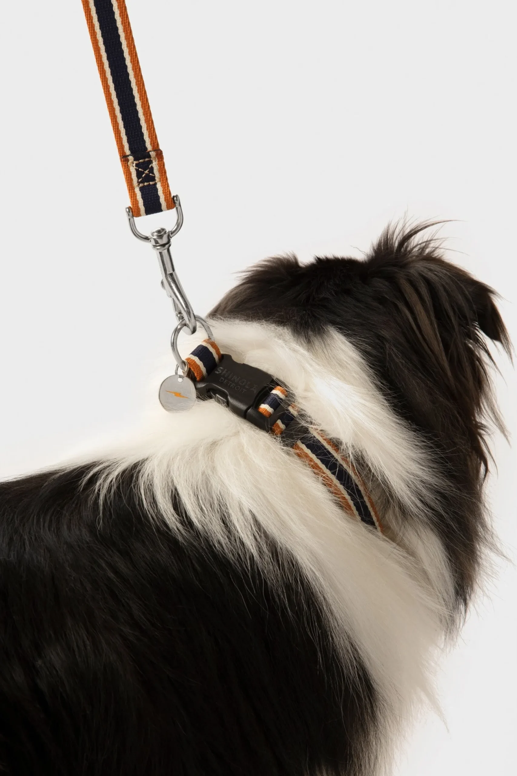 Nylon Dog Leash