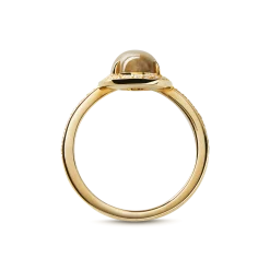 Petite Diamond Pave Petoskey Oval Ring